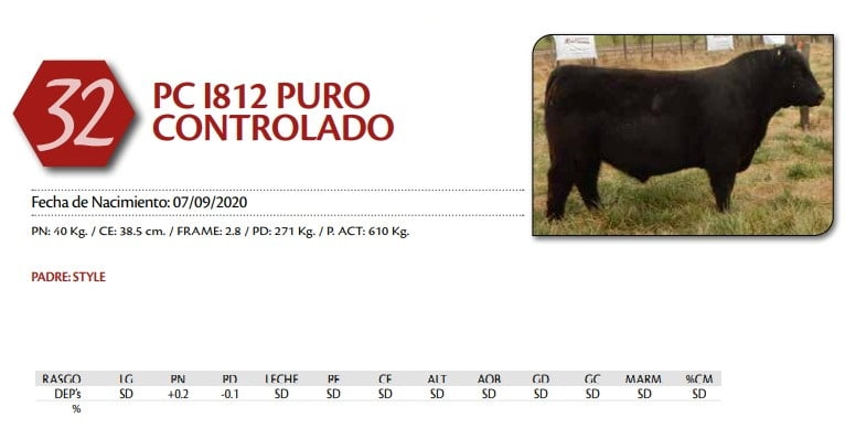 Lote TORO