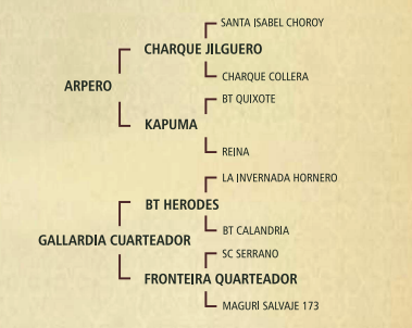 Lote Preferida la constancia