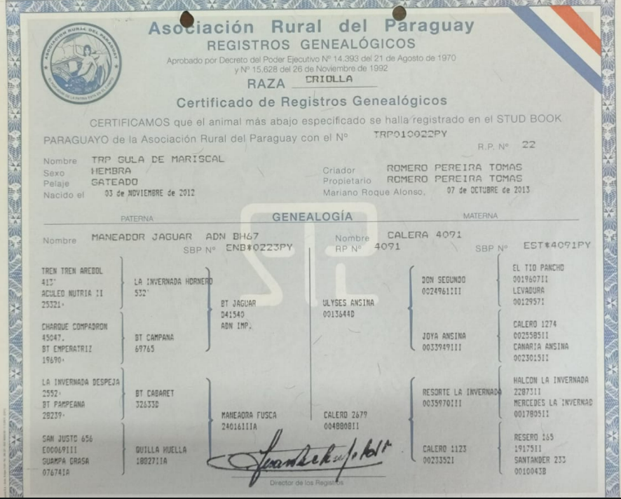 Lote LOTE 4 - DE CAMPO