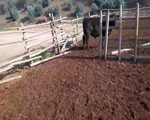 Lote 22 Torete en Melipilla, Región Metropolitana