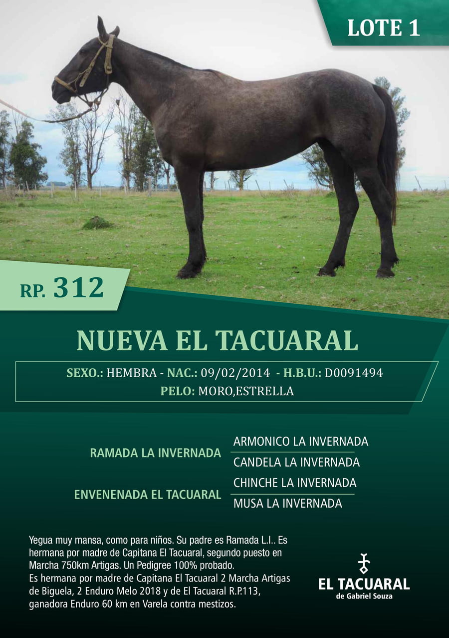 Lote NUEVA EL TACUARAL - R.P. 312