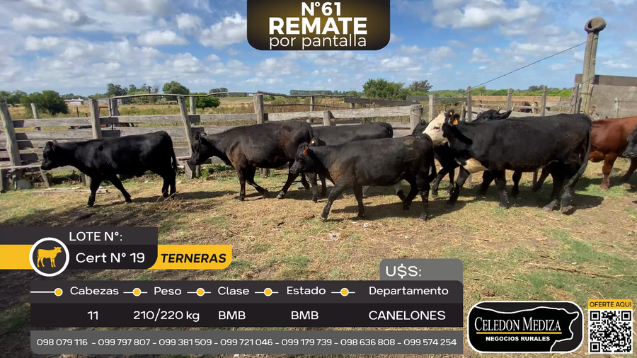 Lote 11 Terneras en Canelones, Canelón Chico