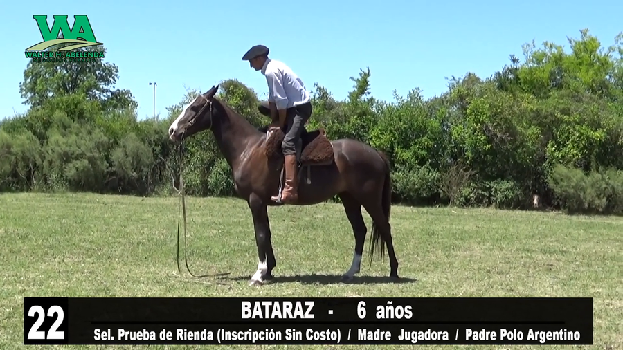 Lote BATARAZ