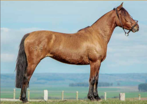 Lote RETACONA 384 LA CASILLA