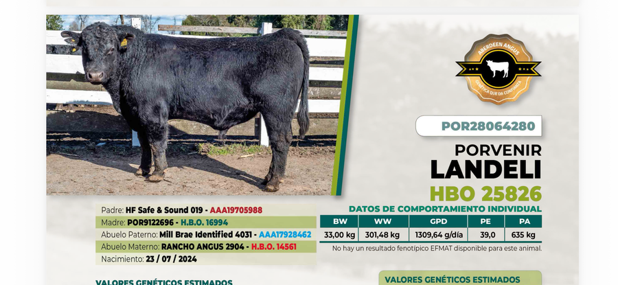Lote 1 Toro LANDELI DIIO 4280