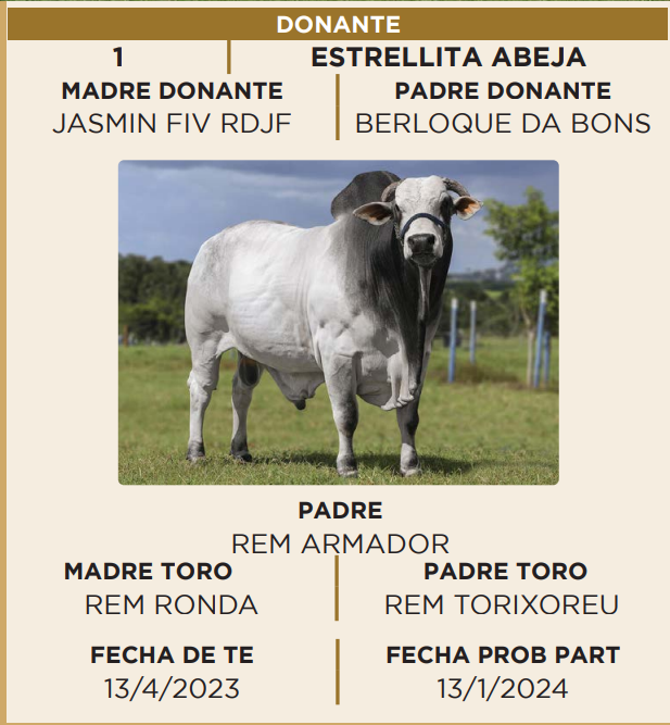 Lote LOTE 40