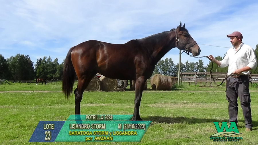 Lote LISANDRO STORM