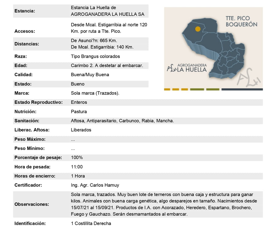 Lote Lote 15