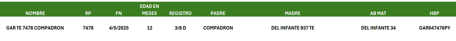 Lote LOTE 45