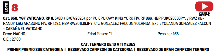 Lote LOTE 8