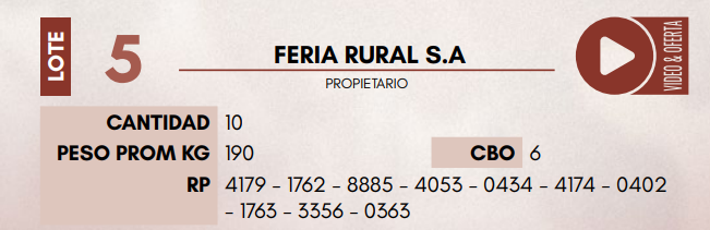 Lote LOTE 5 - HEMBRAS TIPO BRAFORD