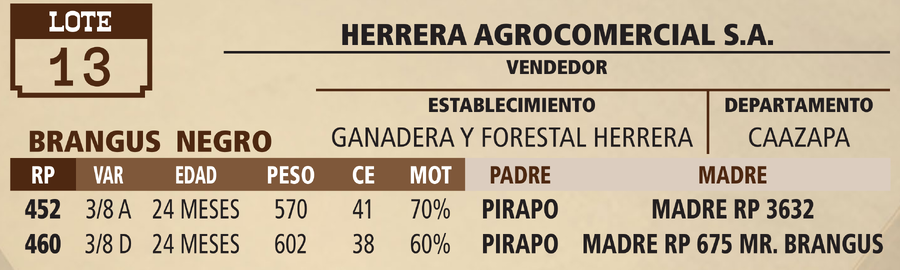 Lote LOTE 13 - VIVO