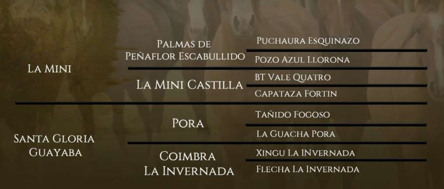 Lote Santa Gloria Mermelada