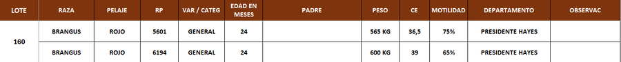 Lote LOTE 160 - POR PANTALLA