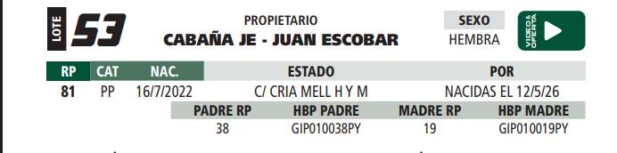 Lote LOTE 53