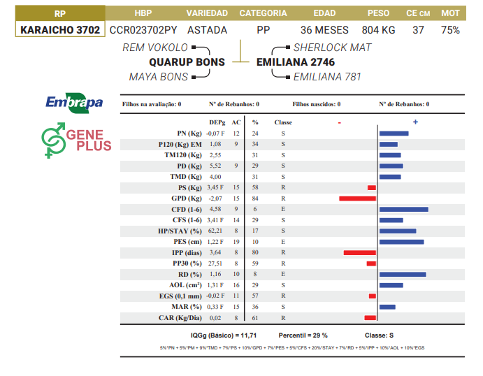 Lote LOTE 11