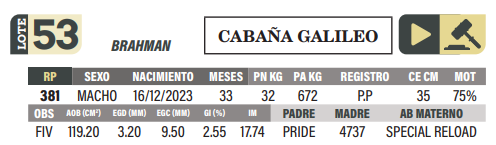 Lote LOTE 53