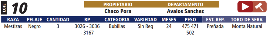Lote LOTE 10