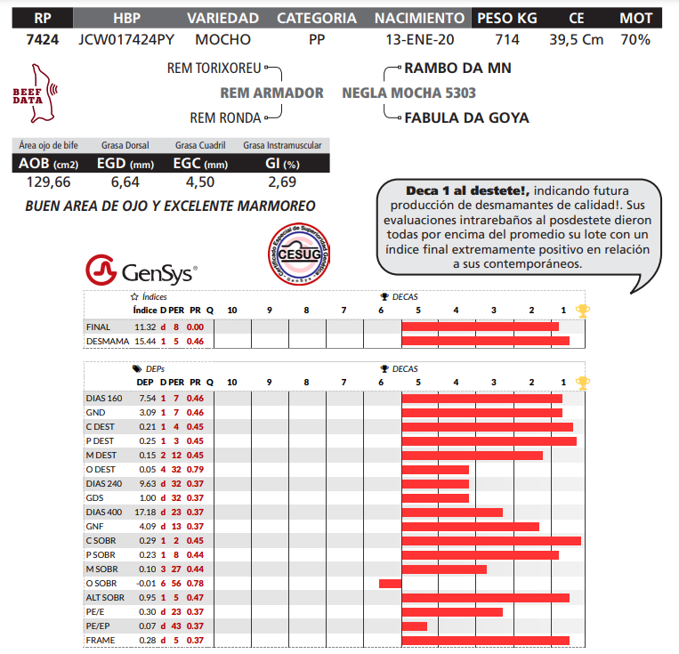 Lote LOTE 34