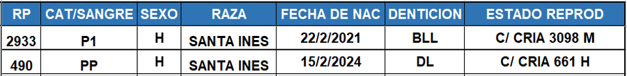 Lote LOTE 34