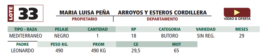 Lote LOTE 33