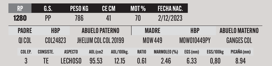 Lote LOTE 4