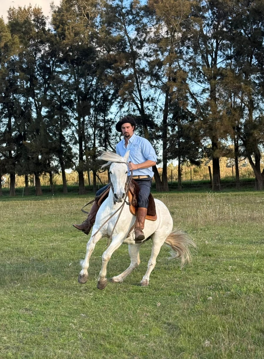 Lote Tordilla Mansa de Andar