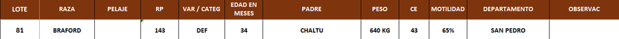 Lote LOTE 81
