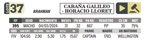 Lote LOTE 37