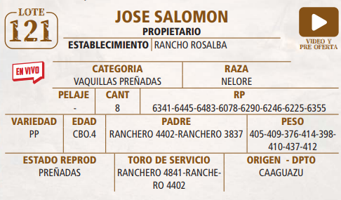 Lote LOTE 121 -EN VIVO