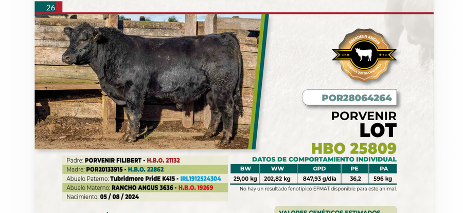 Lote 1 Toro LOT DIIO 4264