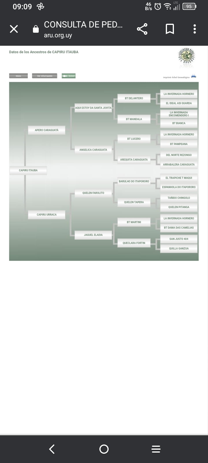 Lote CAPIRU ITAUBA RP 166