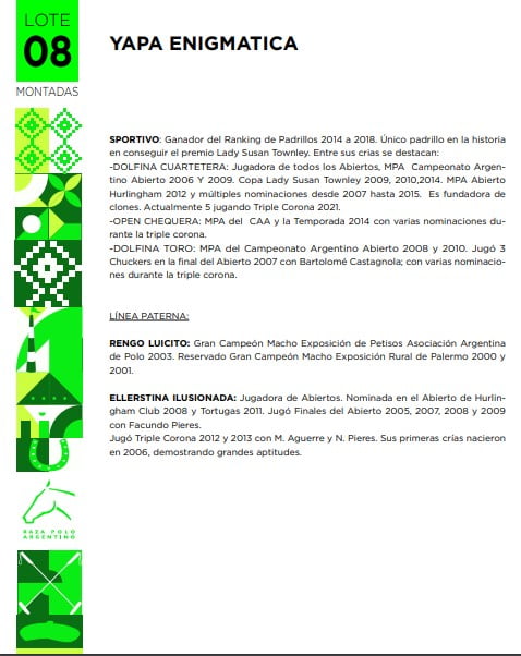 Lote YAPA ENIGMÁTICA(DON URBANO FUTURO-CHAPALEUFÚ ENGREÍDA)