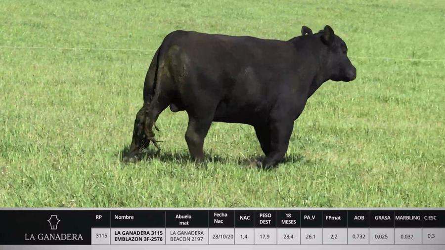 Lote LA GANADERA 3115 EMBLAZON 3F - 2576