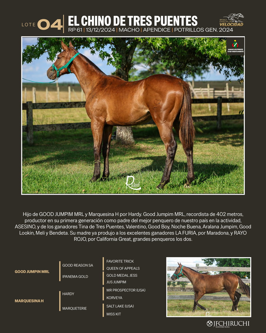 Lote EL CHINO DE TRES PUENTES