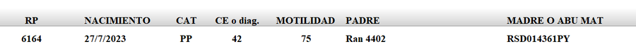 Lote LOTE 46
