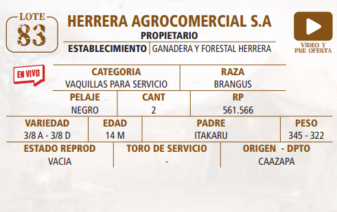 Lote LOTE 83 -EN VIVO