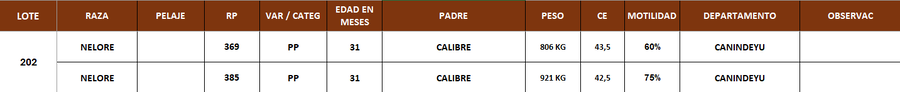 Lote LOTE 202 - POR PANTALLA