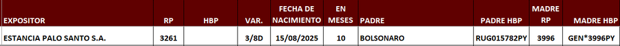 Lote LOTE 6