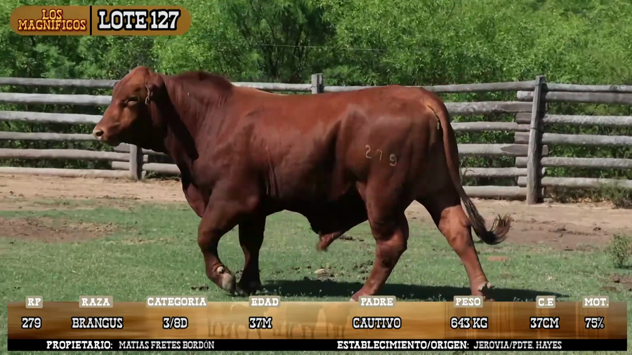 Lote LOTE 127