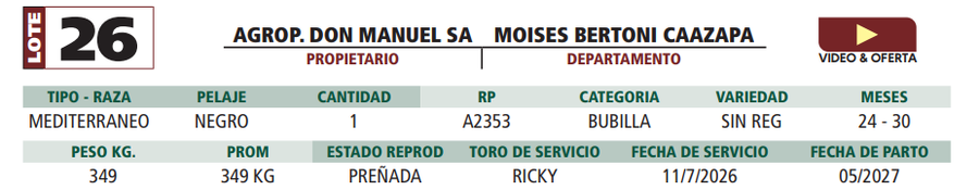 Lote LOTE 26