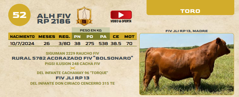 Lote LOTE 52