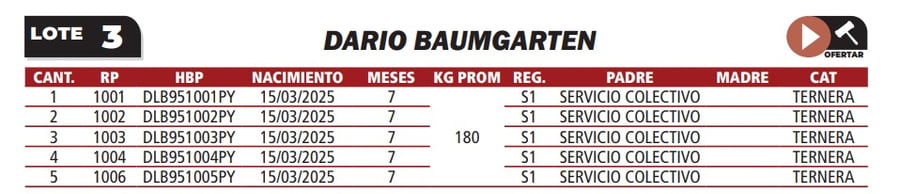 Lote LOTE 3