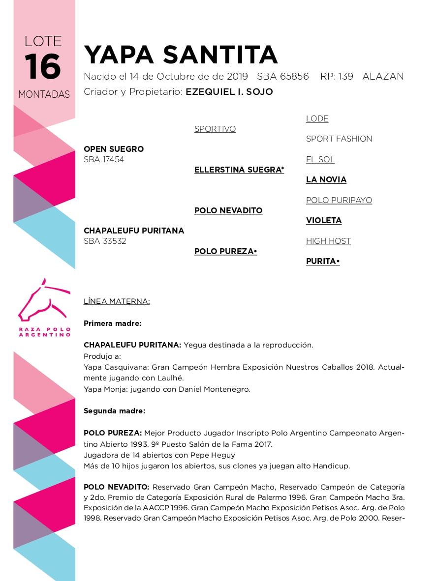 Lote YAPA SANTITA (OPEN SUEGRO - CHAPALEUFU PURITANA)