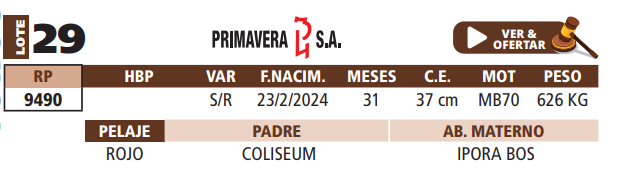 Lote LOTE 29