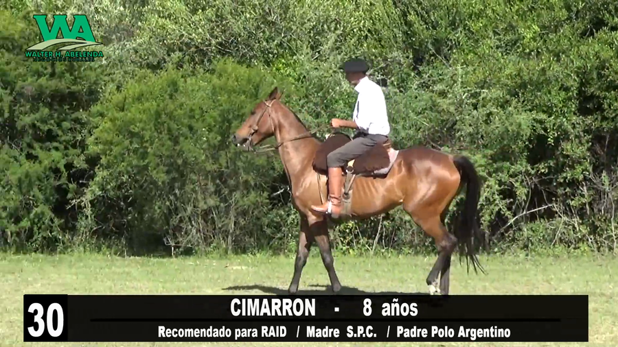 Lote CIMARRON