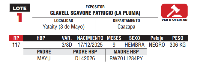Lote LOTE 1 -JUNIOR