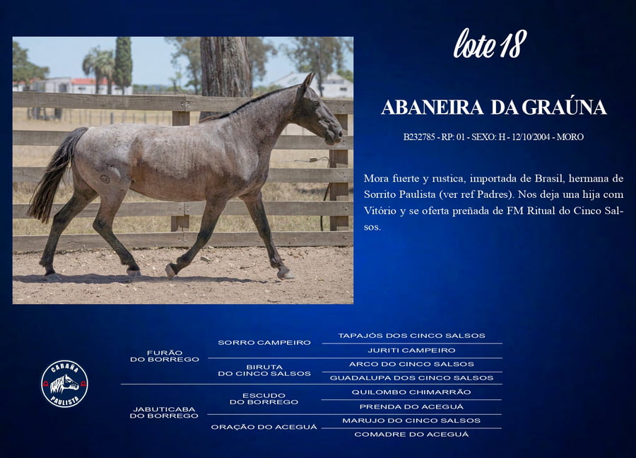 Lote Abaneira Da Graúna