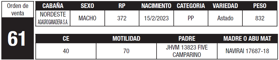 Lote LOTE 61