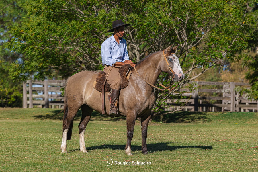 Lote LUNA DE MIEL DE LA COLINA